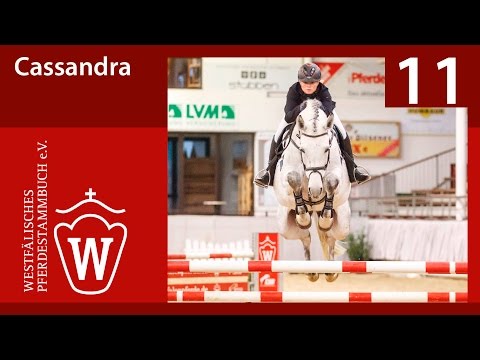 11 Cassandra Stute v. Captain Fire - Cornet Obolensky
