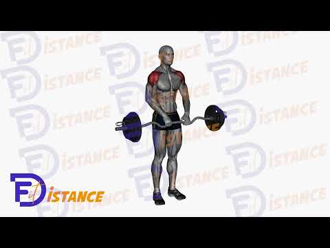 Exercice Tirages verticaux avec barre EZ