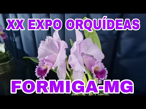 XX Exposição de Orquídeas                     FORMIGA-MG 