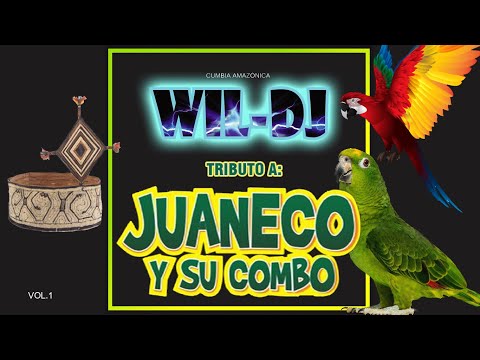 98 - MIX JUANECO Y SU COMBO - WIL DJ - WILDER TUCTO CÁRDENAS