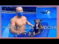 一日狗奴 帶 BLUE&MOCHA 去游泳池衝一波