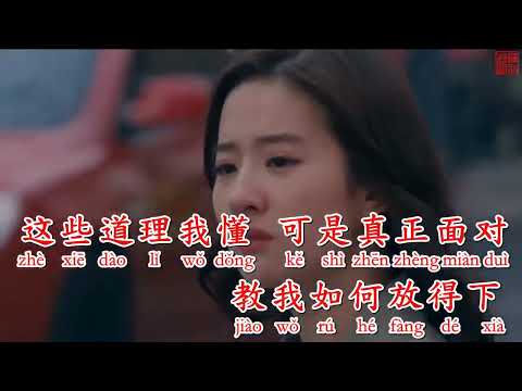 Đã từng đau lòng (Nụ hồng mong manh) 曾经心痛 KARAOKE 伴奏 KTV 卡拉OK