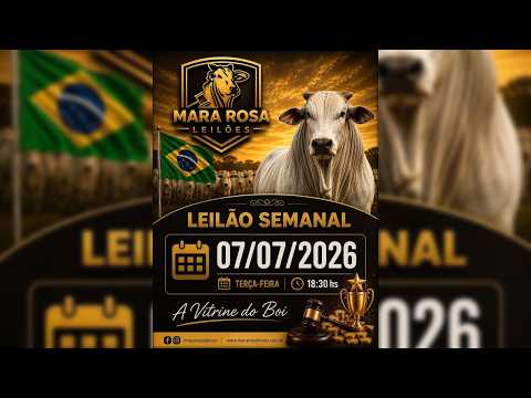 MARA ROSA LEILÕES - GOIÁS - LEILÃO ESPECIAL DE GADO DE CORTE 07/07/2026