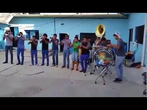 El son de la rabia Banda Lima Real de Chiautla de Tapia, Puebla, Mexico.