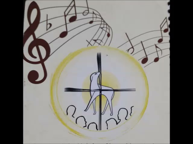 Preview do vídeo