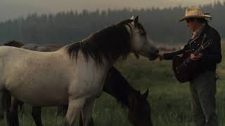 There's a Black Horse Music Video