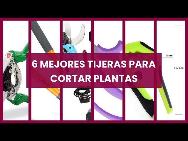 Vídeo relacionado con AIRAJ Tijeras de Podar Profesionales Ligeras de Jardín 38,5cm,Pueden Recortar Ramas Gruesas de 3cm,Cuchilla SK5,Utilizadas para Cortar Arbustos