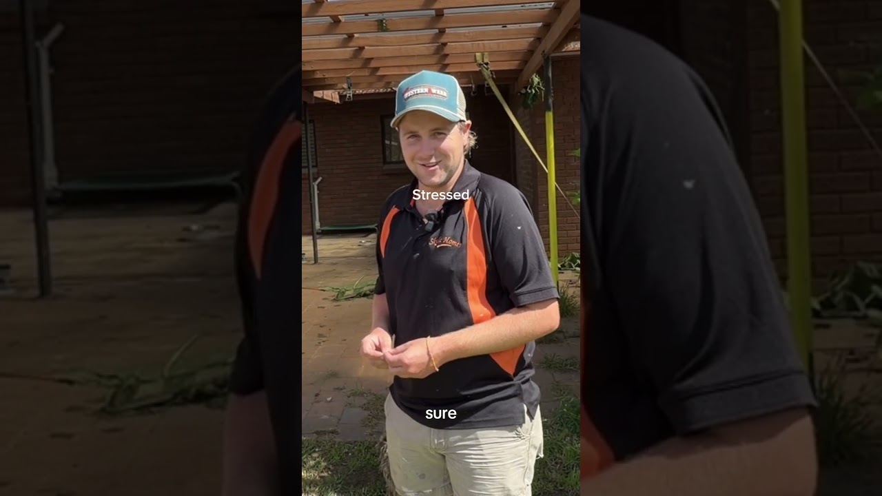 Outside tour before we do anything