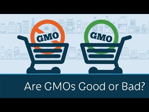 轉基因生物是好是壞？ (Are GMOs Good or Bad?)