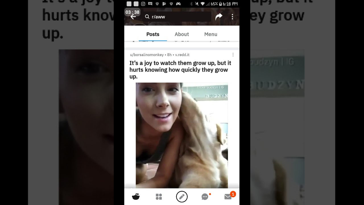 Aww They Are So Cute (r/aww)