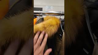 moose knuckle Jacket 2023 Toronto