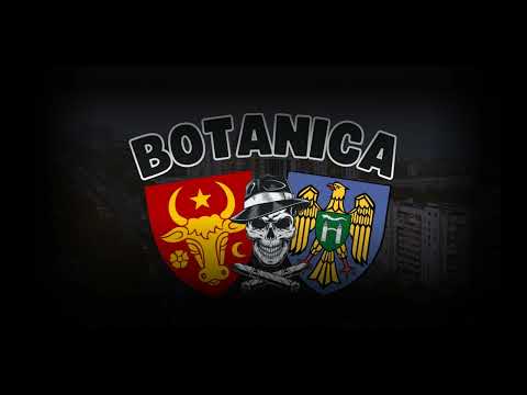 Chess - Peste o vreme