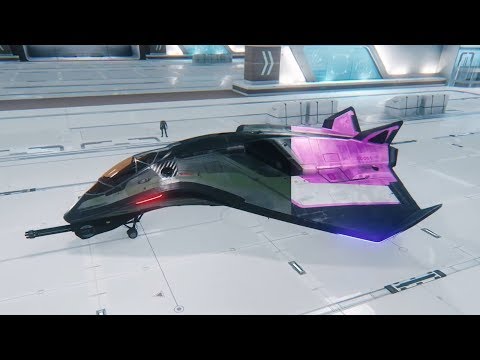 Star Citizen 3.5.1 - New Ship Customization | Is This Microtransactions?