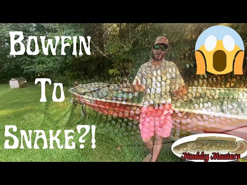 Freshwater Fish Tales — Bowfin, Native American Folklore
