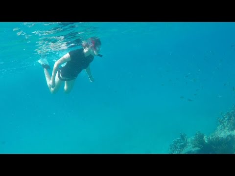 Curacao Snorkel Girl Playa Lagun Free-Diving Snorkeling