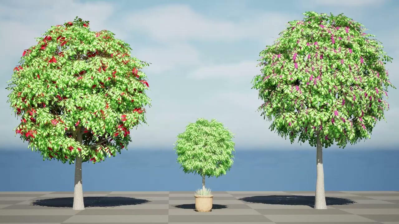 Australian Lilly Pilly Fruit Plant 3D Model