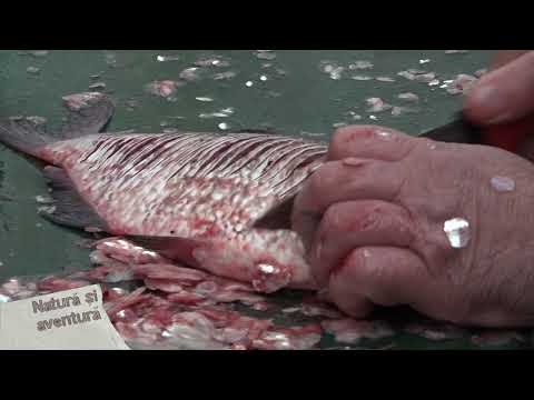Natura si aventura, retete din Delta, 28 aprilie 2024