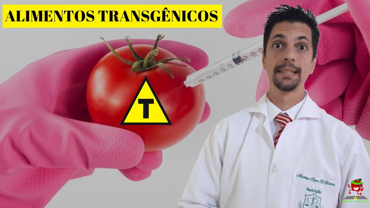 O que é alimento transgênico? Os alimentos transgênicos fazem mal?
