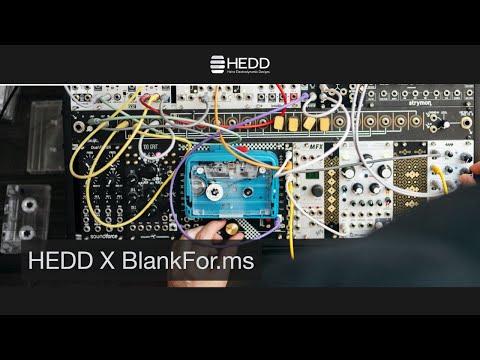 Clear And Honest Monitoring - BlankFor.ms x HEDD