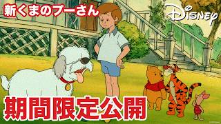 【期間限定無料公開】新くまのプーさん | 犬の世話は大変！？