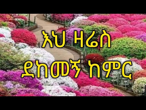 አህ ዛሬስ ደከመኝ ከምር