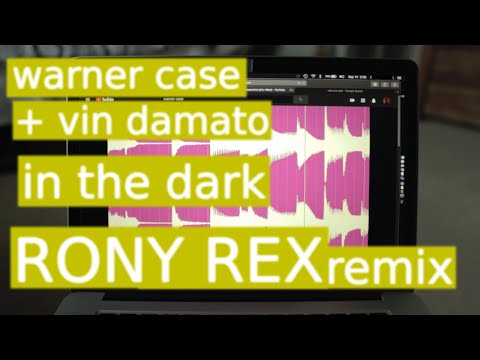 warner case & Vin Damato - in the dark (Rony Rex Remix)