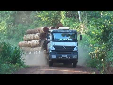 download lagu mp3 mp4 Toras, download lagu Toras gratis, unduh video klip Toras