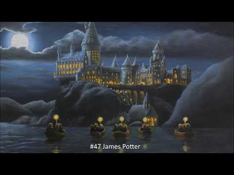 CLOSED || TOP 100 Harry Potter character (by mention) | megacollab