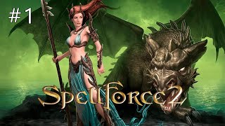 Начало: SpellForce 2 Dragon Storm #1