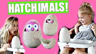 HATCHIMALS TODDLER REACTION!