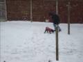 A Winter S Tail
