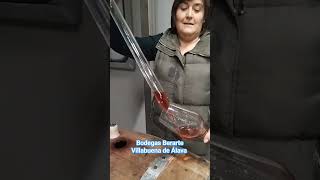 Download lagu Bodegas Berarte. Villabuena de Álava. mp3
