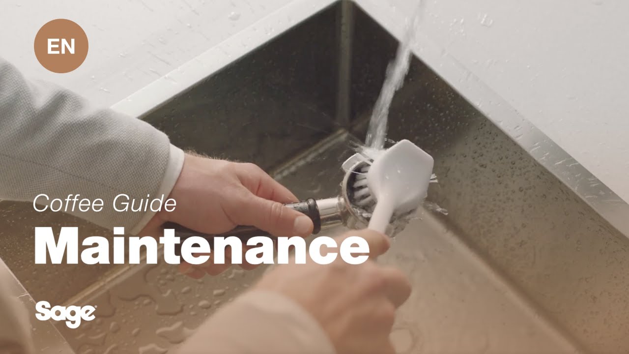 Så här rengör du portafiltret och filterkorgen