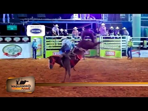 Waguinho Animal - Montarias Cutiano em Riolândia 01/04/17