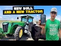 New Bull And A New Tractor