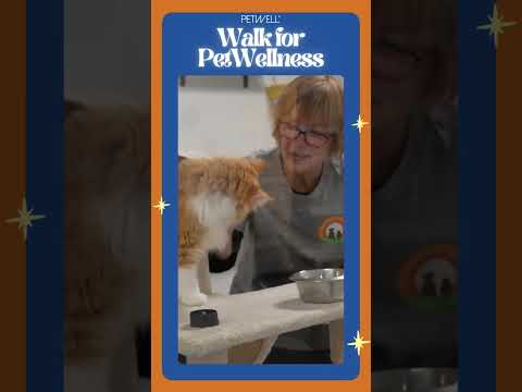 Marisa Debattista SCAR PetWell Walk for PetWellness