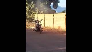 Honda Shadow 600 Vicla