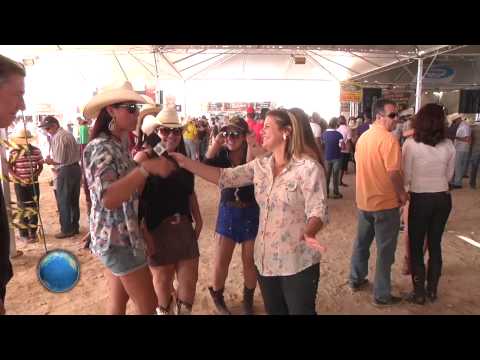 OURO FINO BOLETIM DA SEMANA 272 - 13 E AGOSTO DE 2015