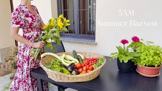 5AM Productive Morning: Harvesting Vegetables & Slow Living in Milan