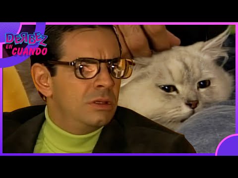 Armando Hoyos nos presenta a su gatito 'Poncho' | Derbez en Cuando 4/4 | C30- T1