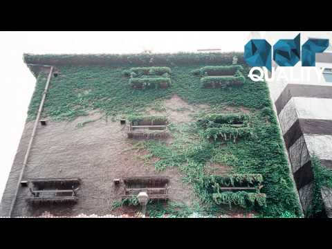 Andreas Ort - Hold You