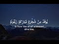 Surah An Nur Ayah 35 Tariq Mohammed