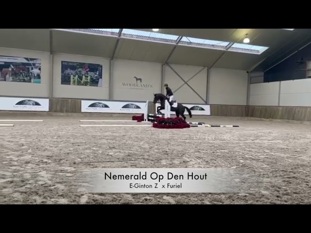 Nemerald op den Hout