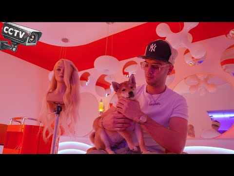 sampagne - CCTV (prod. by MENJU)