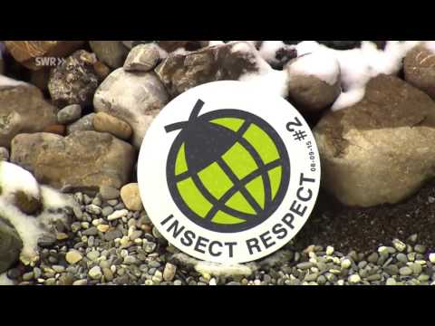 INSECT RESPECT - Der Mann, der Fliegen bekämpft - und rettet