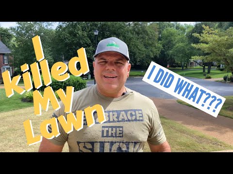 I Killed my lawn with Glyphosate (Roundup)
