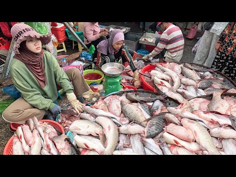 Amazing Fresh River Fish Market Scenes - Ever Seen Cambodian Fish Market ?