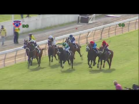 36 - 2018  THE NOBLE SALUTE - EVACO 17TH ANNIVERSARY CUP