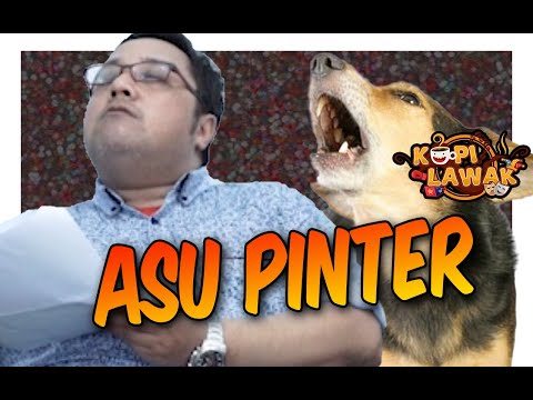 asu-pinter