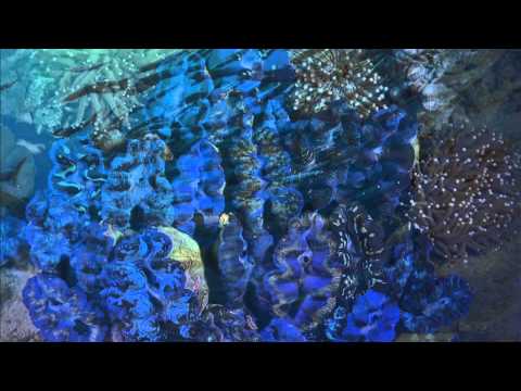 Ricardo Santos Orchestra - Pearlfishers (Instrumental)